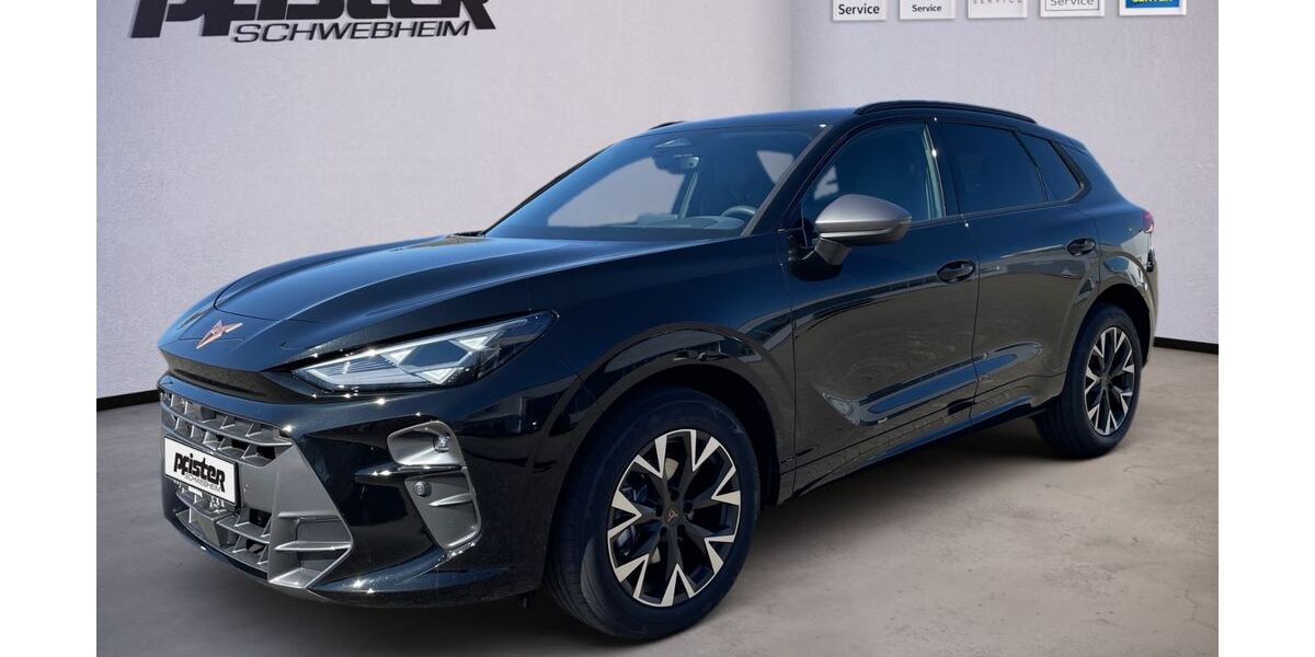 Cupra Terramar 6.000 km 38.930 &euro; Schwebheim 97525