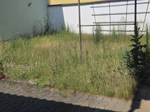 Einfamilienhaus mit Halle in 97490 Poppenhausen-Kützberg, 9 km von Schwweinfurt (ID 10667) - Einfamilienhaus Poppenhausen Poppenhausen , Unterfr | Angebot:27093959