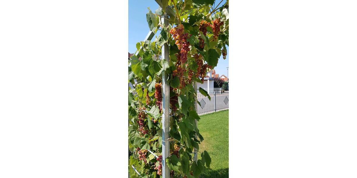 Bungalow Prichsenstadt - 5 Zimmer, 124 m&sup2;, 570.000&euro; | Angebot:26100469