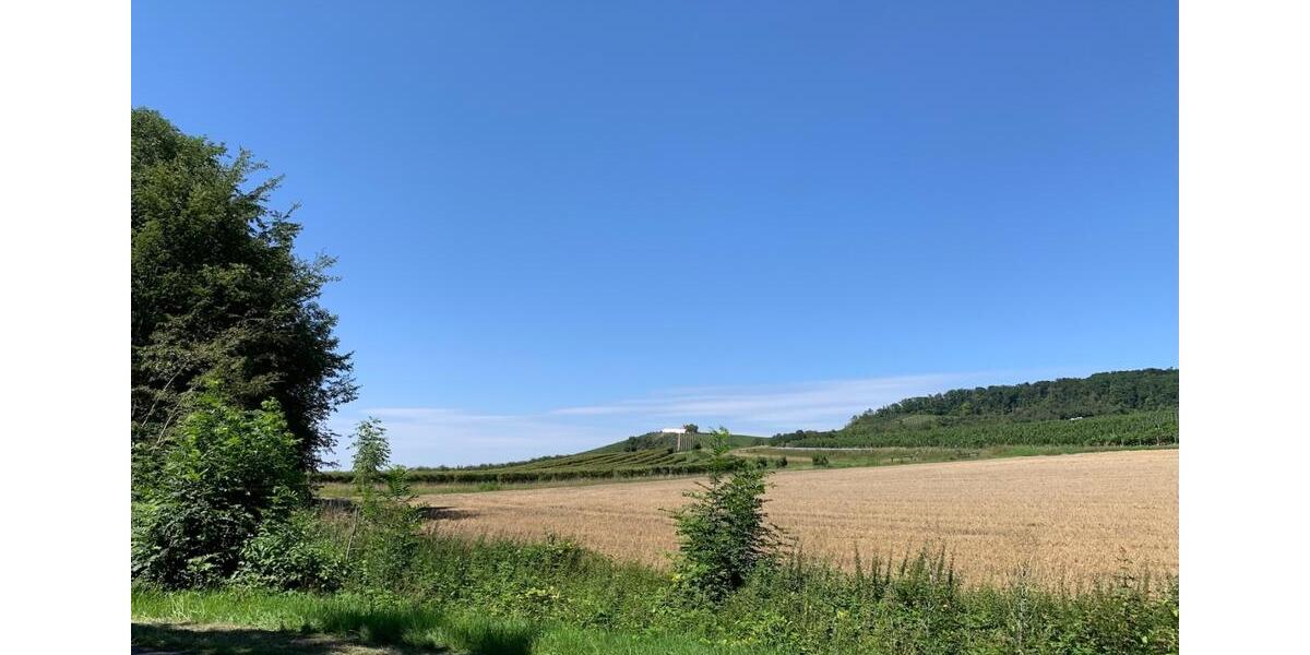 Einfamilienhaus Oberschwarzach - 249.000&euro; | Angebot:25864869