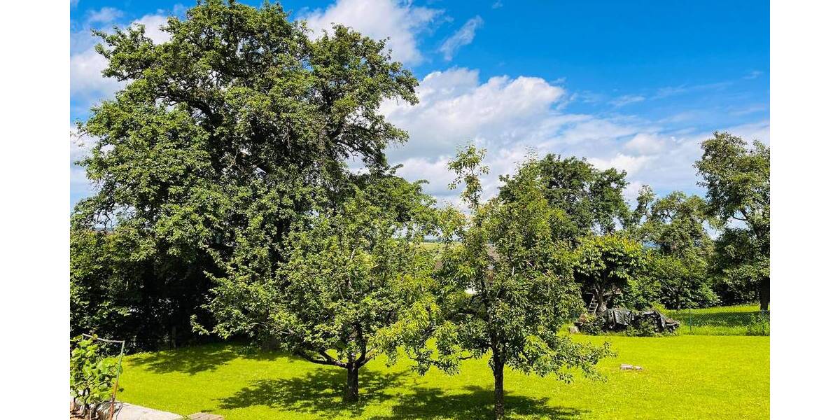 Grundstück Haßfurt Oberhohenried - 130.000&euro; | Angebot:26930412