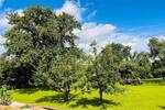 Grundstück Haßfurt Oberhohenried - 130.000&euro; | Angebot:26930412