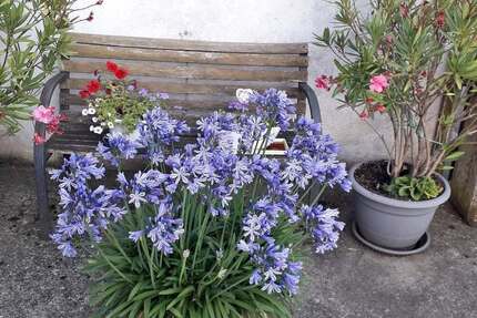 Haus Euerbach Obbach - 250.000&euro; | Angebot:25733221