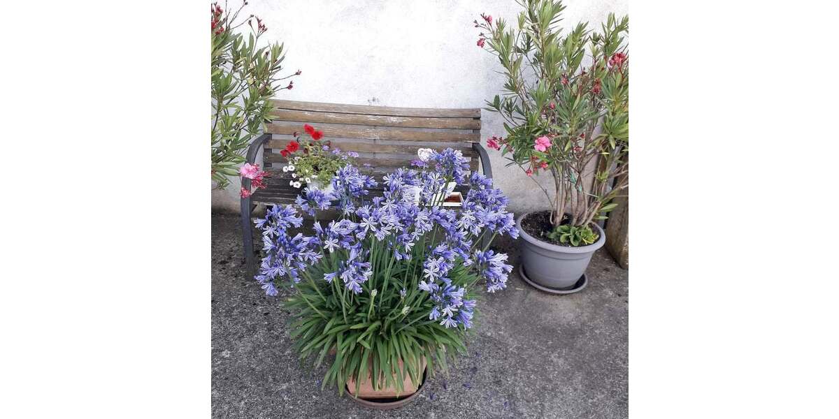 Mehrfamilienhaus, Wohnhaus Euerbach Obbach - 250.000&euro; | Angebot:25733221