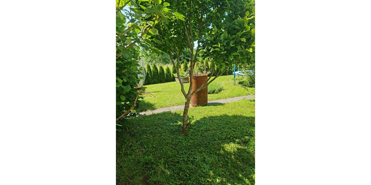 Einfamilienhaus Rauhenebrach - 8 Zimmer, 250 m&sup2;, 220.000&euro; | Angebot:27083530