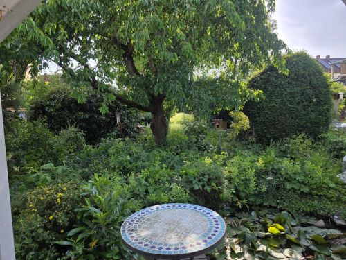3-Zimmer-Mietwohnung mit Stellplatz und Garage sowie Garten mit Freisitz und Teich sowie Wasserlauf in 97456 Sennfeld (1592) - Erdgeschoßwohnung Sennfeld Sennfeld | Angebot:25521331