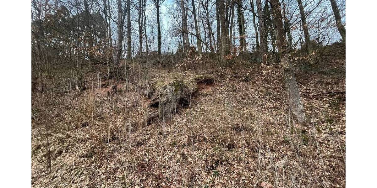 Grundstück Niederlauer Unterebersbach - 42.000&euro; | Angebot:25667688